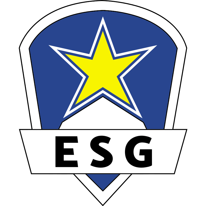 SK Gaming
