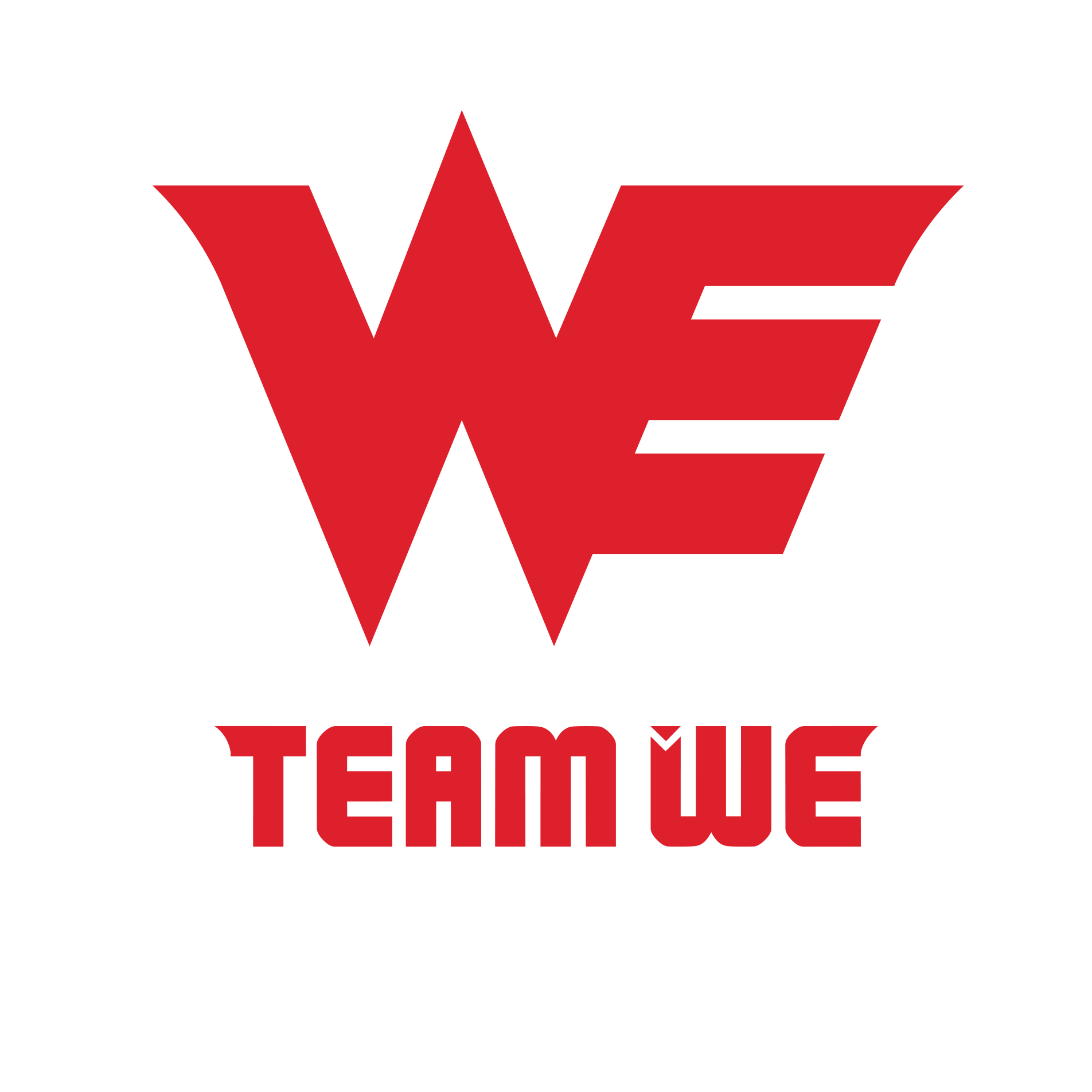 Team Falcons